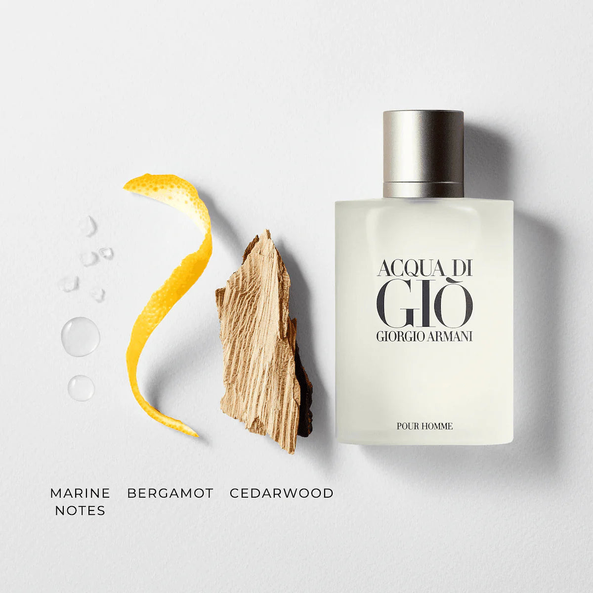 GIORGIO ARMANI ACQUA DI GIO 100ML EAU DE TOILETTE